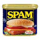 SPAM - LUNCHEON MEAT REGULAR 340G
