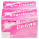 DENTYNE - ICE ARTIC BUBBLE 12x12 PC