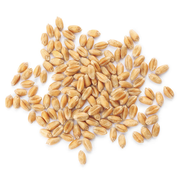 GRAIN PRO - SOFT WHEAT KERNALS 10KG