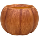 ORANGE PUMPKIN 6.25x4.25IN EA