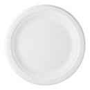 IECO - 10" BAGASSE PLATE 30EA
