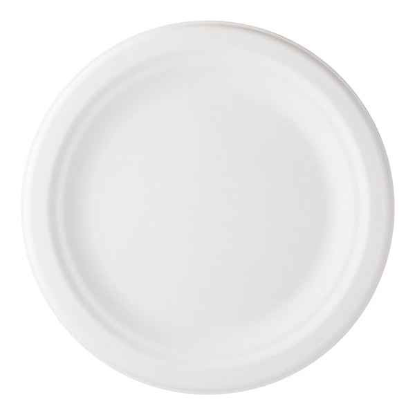 IECO - 10" BAGASSE PLATE 30EA