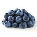 FRUITS - BLUEBERRIES  CASE 12x170 GR