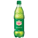 CANADA DRY - GINGER ALE PET 24x500 ML