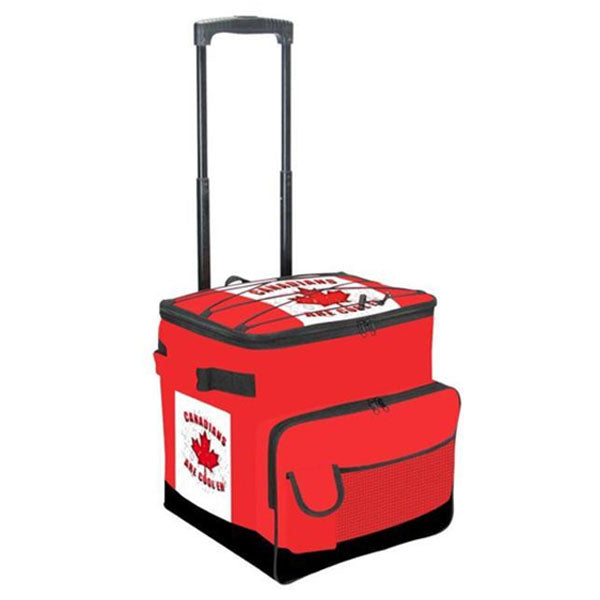 CTG - CANADA INSULATED PICNIC COOLER BAG 40L EA