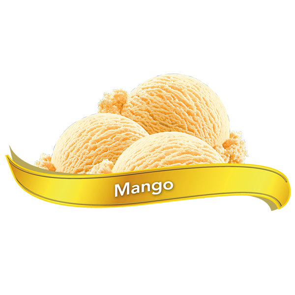 CHAPMANS - CHAPMAN'S ICE CREAM MANGO 11.4LT