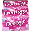 DENTYNE - ICE ARTIC BUBBLE 12x12 PC