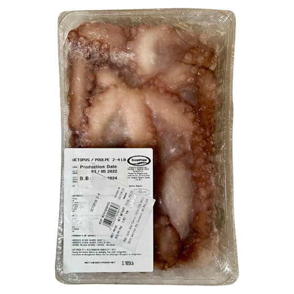 SEACORE - OCTOPUS 4-6 PER KG