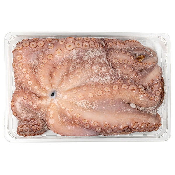 SEACORE - OCTOPUS 4-6 PER KG