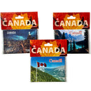 BLESS - CANADA MAGNET EA