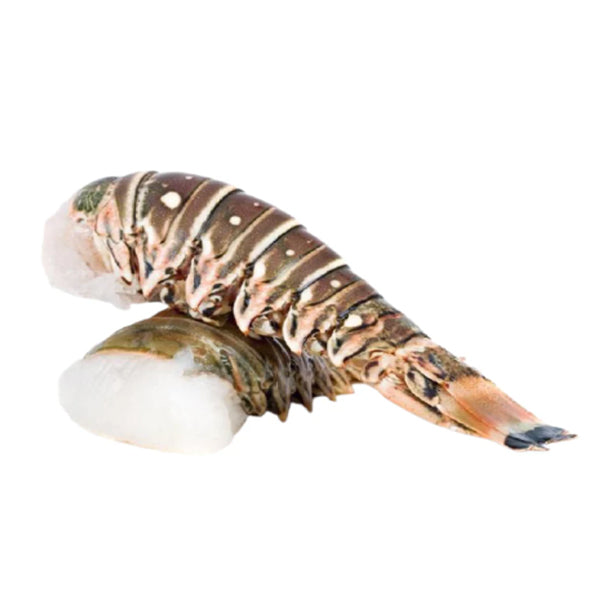 ROCK HARBOUR - SPINY LOBSTER TAILS 5OZ 283GR
