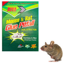 RUVA - GLUE TRAP 10PK