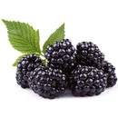 FRUITS - BLACKBERRIES CLAM 170G