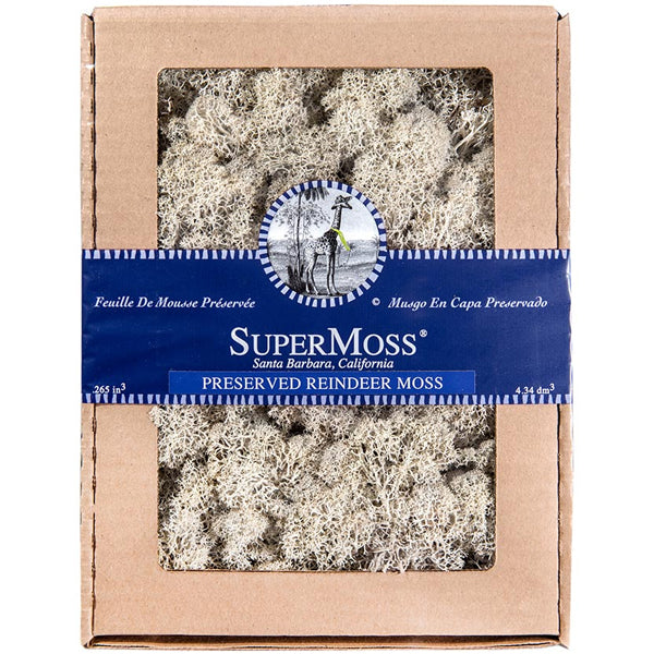 SUPERMOSS - REINDEER MOSS BOX NATURAL 1EA