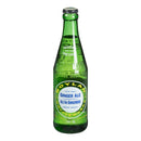 BOYLAN - GINGER ALE GB 24x355 ML