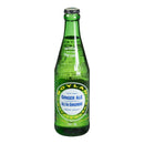 BOYLAN - GINGER ALE GB 24x355 ML