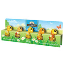 WATERBRIDGE - SPRING HOLLOW CHICK SET 60GR