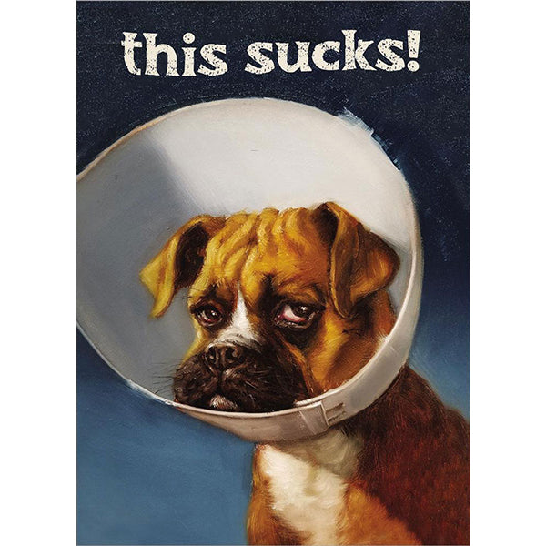 GET WELL - CONE OF SHAME CARD