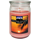 CITILITES - TROPICAL BREEZE APOTHECARY JAR CANDLE 15OZ