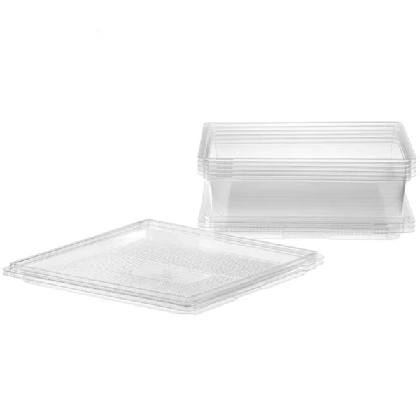 TALTHI - CLEAR PARTY TRAY 12x12 IN 5 PK