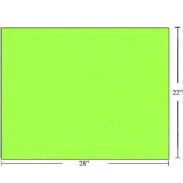 CTG - BRISTOL BOARD FLUORESCENT GREEN EA