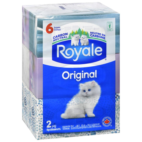 ROYALE - FACIAL TISSUE 2PLY 8x6 CT