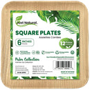 JUST NATURAL - 6IN SQUARE DISH 12x12 EA