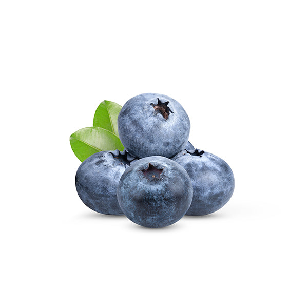 FRUITS - BLUEBERRIES CASE 12 X 1 LB