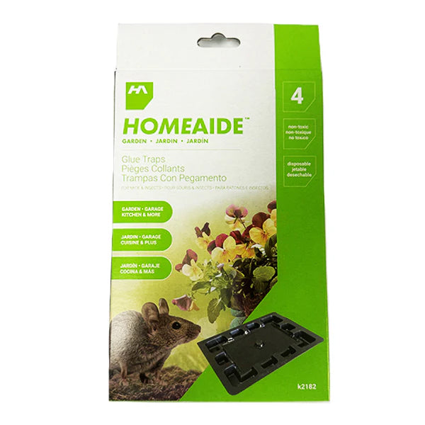 HOME AIDE - 4pk MOUSE GLUE TRAP 12x EA