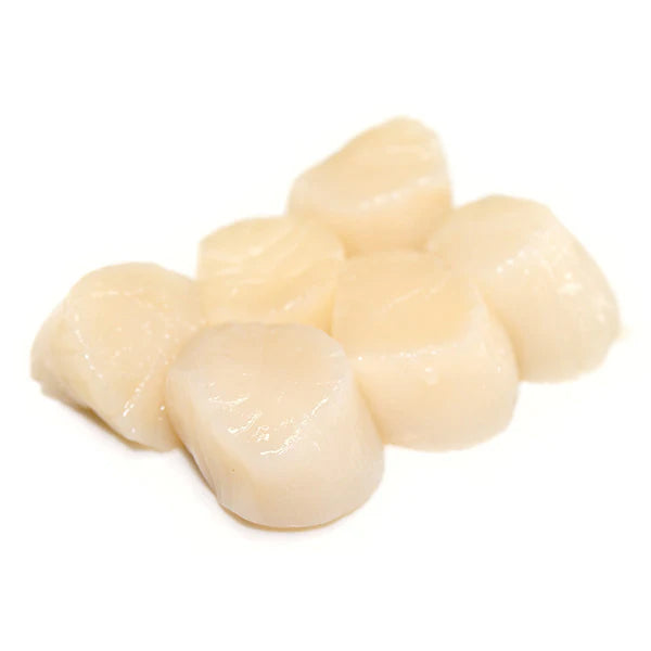 MAXIMUM SEAFOOD - 10/20 SCALLOPS 12x1 LB