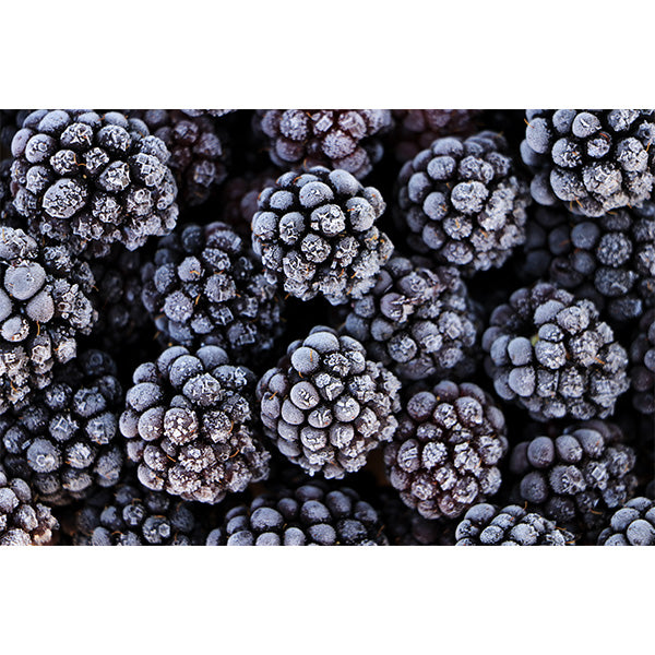 ALASKO - BLACKBERRIES 5x1KG