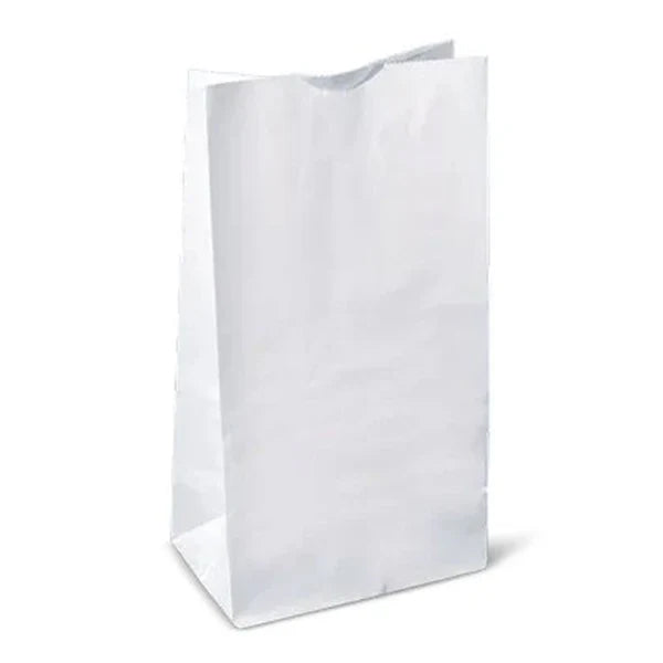 RITE EARTH - 5LB WHITE PAPER BAG 2x500 CT