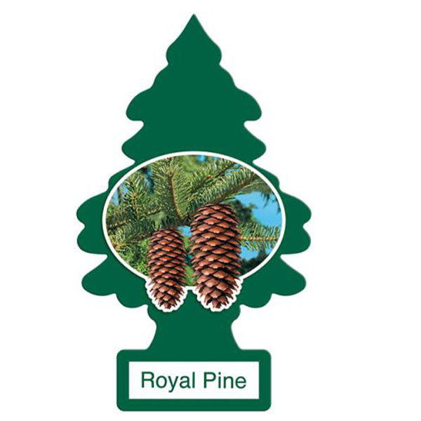 LITTLE TREE - LT CAR FRESHENER ROYAL PINE 24EA