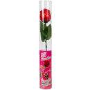 WAWI - MILK CHOCOLATE ROSE IN ACETATE 24x18 GR
