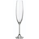 LEONA - CHAMPAGNE FLUTE GLASS 4x7 OZ