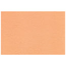JB - PEACH PAPER 9x12 1000 CT