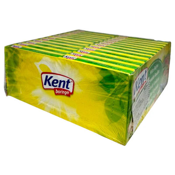 KENT BORINGER - VEGETABLE FLAVORED CUBE BOUILLON 10 GR
