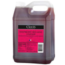 CLOVIS - VINEGAR RASPBERRY 2X5L