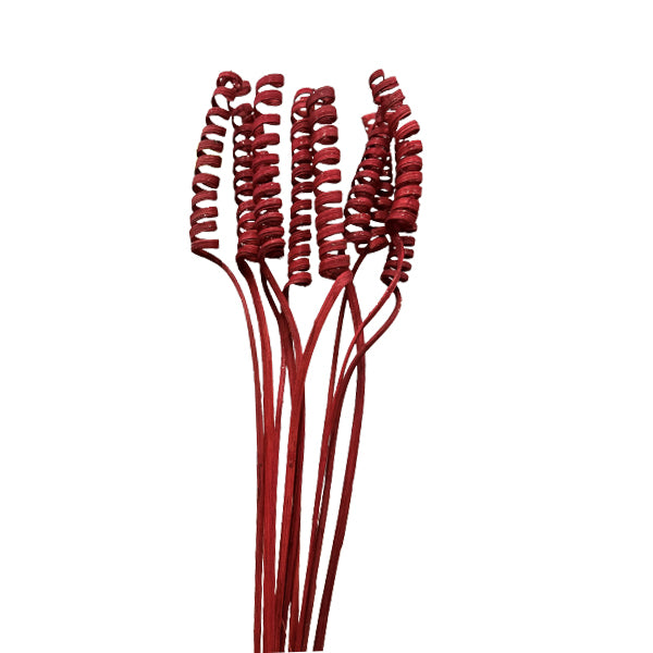 BOTANICO - 30IN CANE SPRING RED SPARKLE 10STEMS