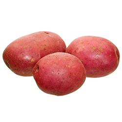 VEGETABLES - POTATOES  RED 10 LBS