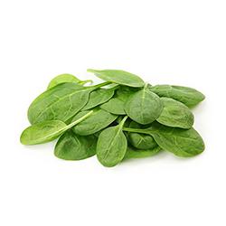 VEGETABLES - SPINACH BABY 11 OZ