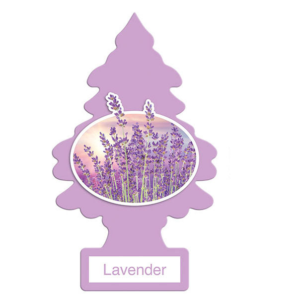 LITTLE TREE - LT CAR FRESHENER LAVENDER EA