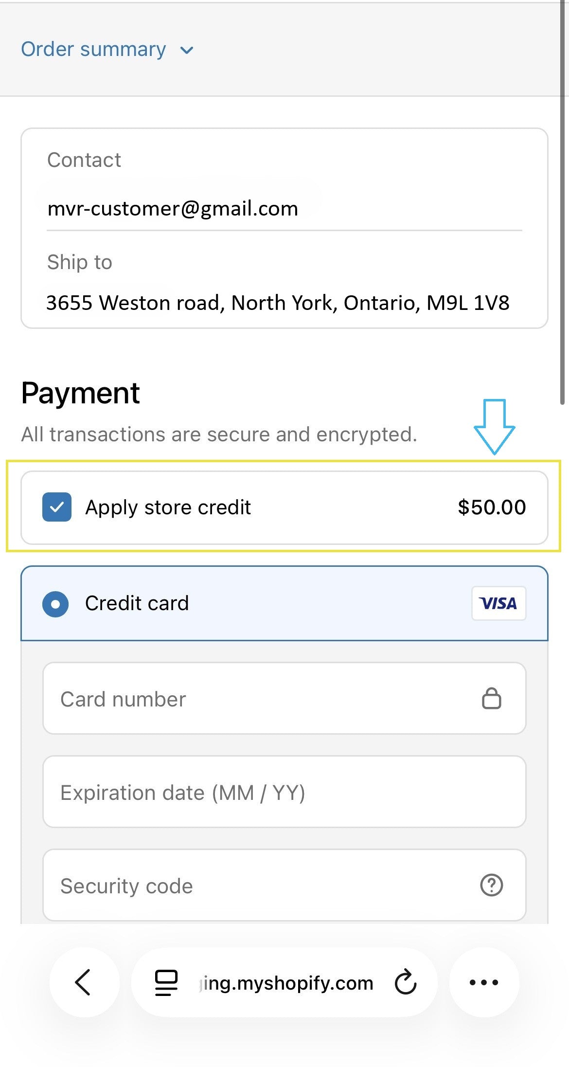 Store credit shown as a payment option on the payment page